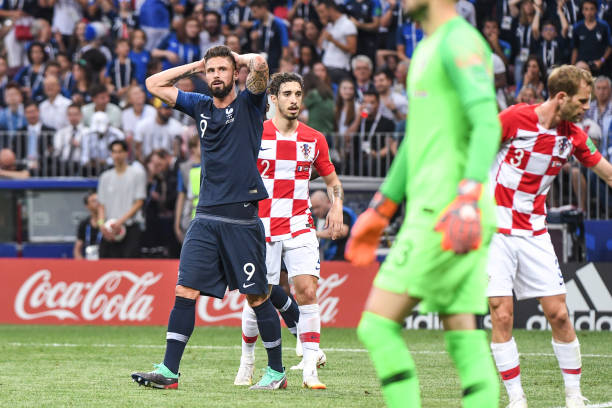 根的理由 根的理由