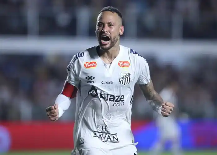 毅力和适应 毅力和适应